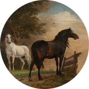 01.01.007 - Twee paarden in de wei bij een hek - Cirkel