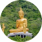 01.02.003 gouden boeddha in bossen cirkel