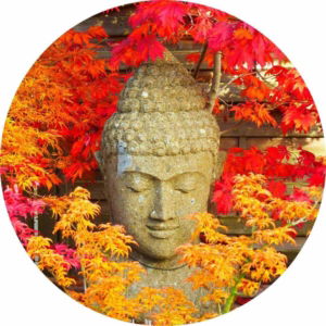 01.02.005 boeddha tussen bladeren cirkel