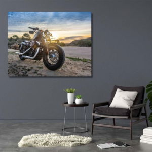 02.01.009-harley-davidson-forty-eight-woonkamer-sfeer-liggend