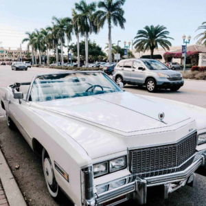 02.01.019 cadillac eldorado convertible 1971 staand