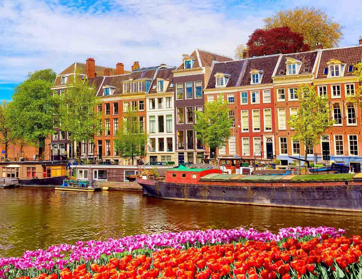 02.02.008 tulpen aan de amsterdamse gracht liggend