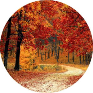 03.01.005 chattahoochee hills herfst cirkel