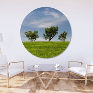 03.01.009 landschapen met bomenrij woonkamer sfeer cirkel