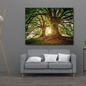 03.01.012 twee eikenbomen met grote wortels woonkamer sfeer liggend