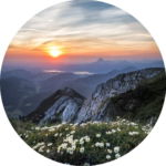 03.01.014 bloemen boven op de berg cirkel