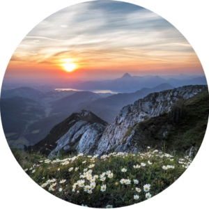 03.01.014 bloemen boven op de berg cirkel