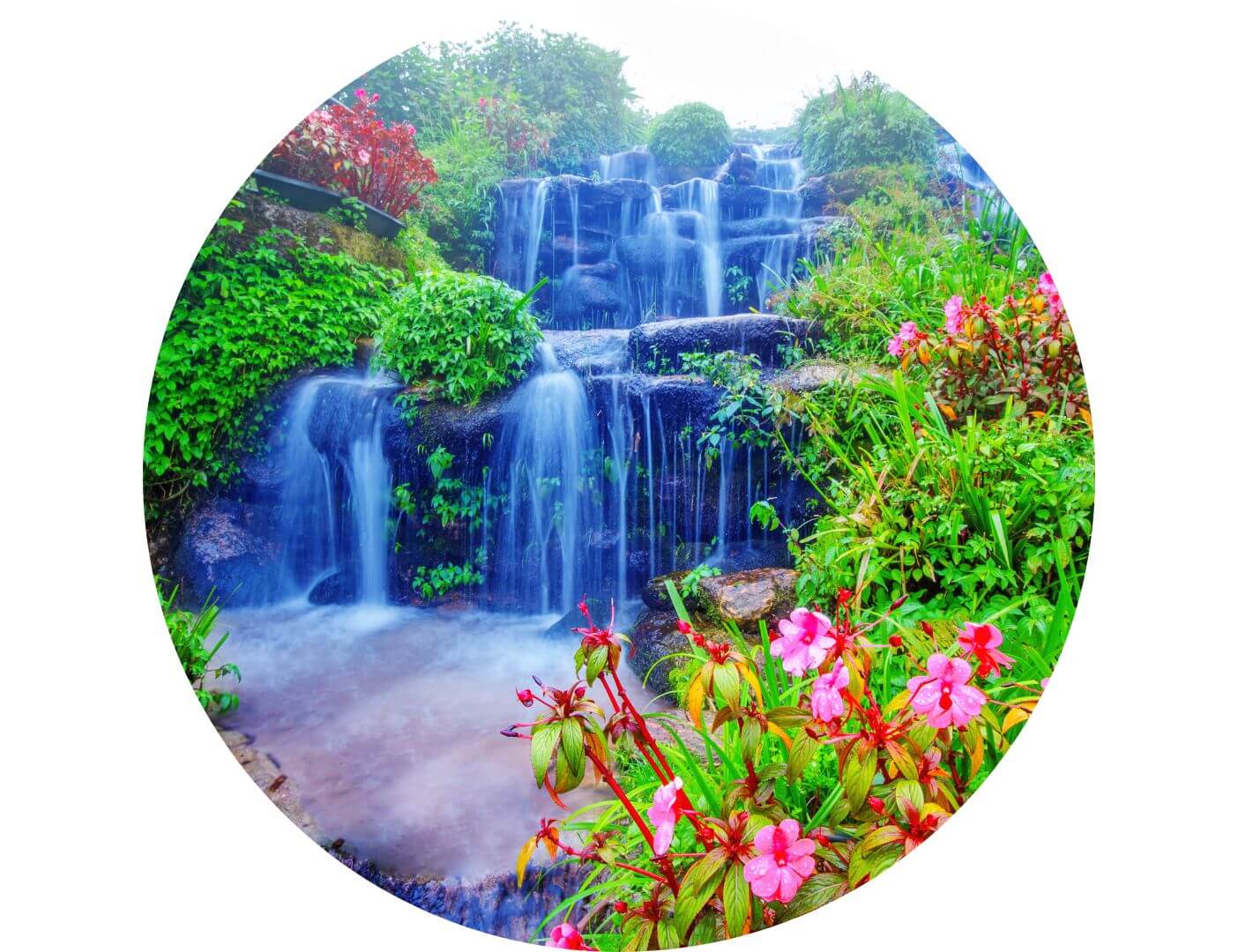 03.02.002 waterval tussen de planten en de bloemen cirkel