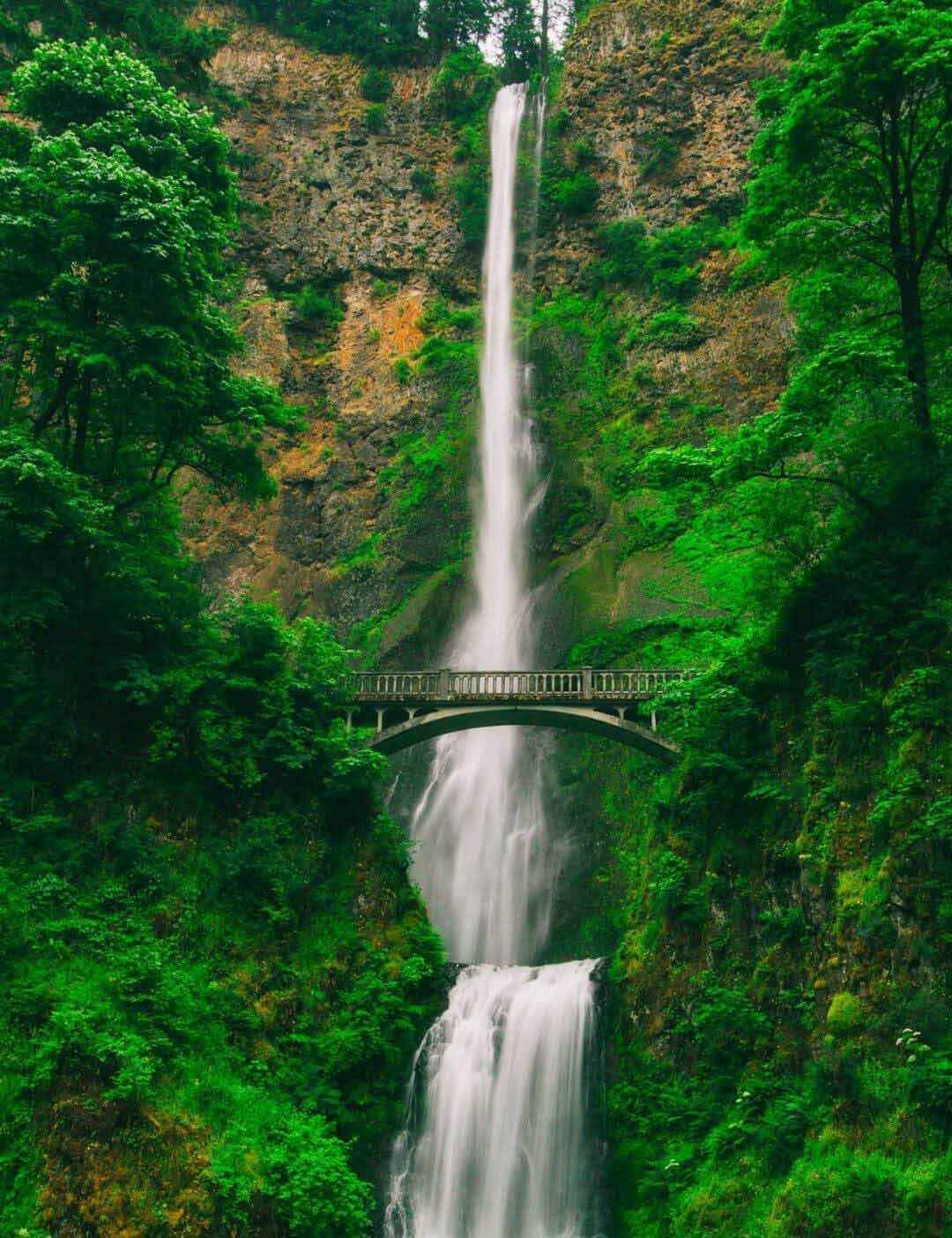 03.02.019 multnomahwatervallen staand