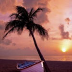 03.03.017 bootje bij palmboom op het strand staand