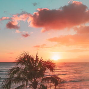 03.03.018 zonsopkomst met palmboom staand