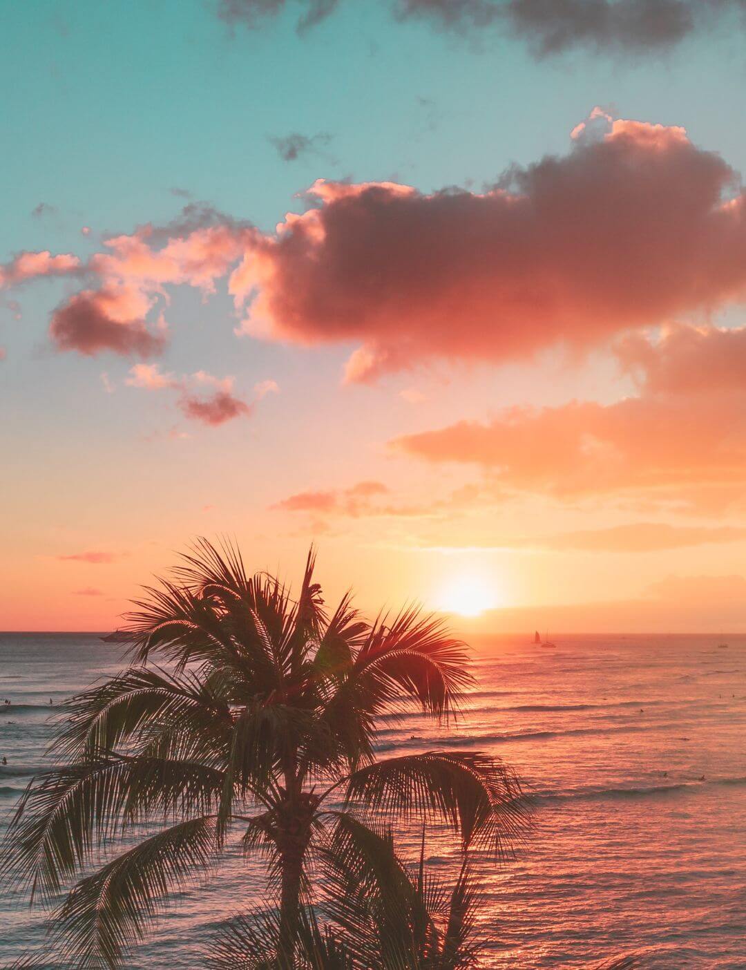 03.03.018 zonsopkomst met palmboom staand