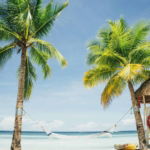 03.03.019 palmbomen met hangmat op het strand staand