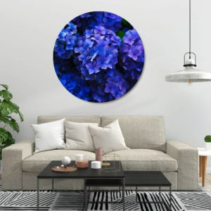 03.04.001 blauwe hortensia woonkamer sfeerd cirkel