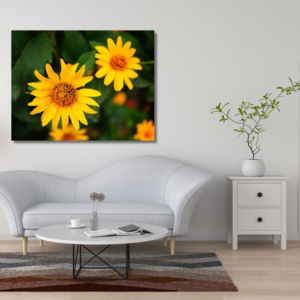 03.04.002 zonnebloem close up woonkamer sfeer liggend