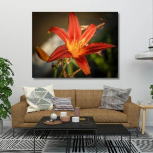 03.04.003 bruine daglelie woonkamer sfeer liggend