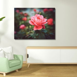 03.04.004 camellia bloem woonkamer sfeer liggend