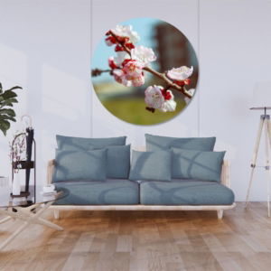03.04.005 kersenbloesem woonkamer sfeer cirkel
