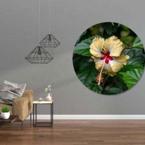 03.04.013 hawaiiaanse hibiscus woonkamer sfeer cirkel