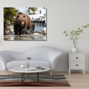 03.05.002 bruine beer in het meer woonkamer sfeer liggend