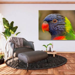 03.05.006 gekleurde papagaaien kop woonkamer sfeer liggend