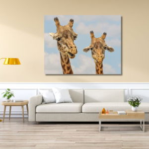 03.05.007 twee noordelijke giraffe woonkamer sfeer liggend