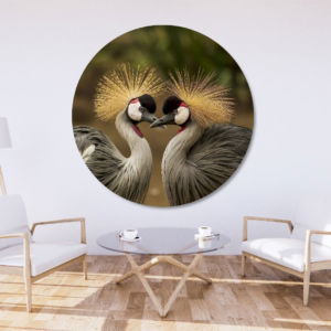 03.05.010 twee grijze kroonkraanvogels woonkamer sfeer cirkel