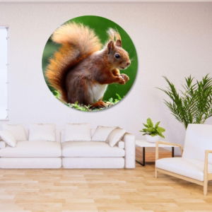 03.05.011 eekhoorn met nootje woomkamer sfeer cirkel