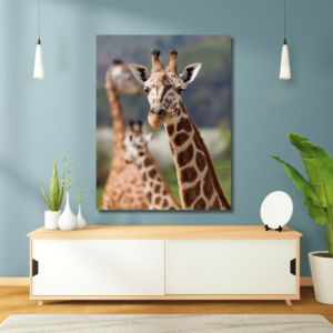 03.05.014 giraffe trio woonkamer sfeer staand