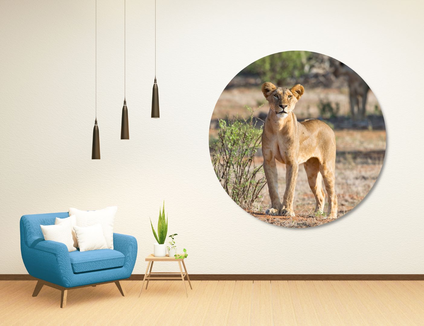 03.05.015 perzische leeuw in de natuur woonkamer sfeer cirkel