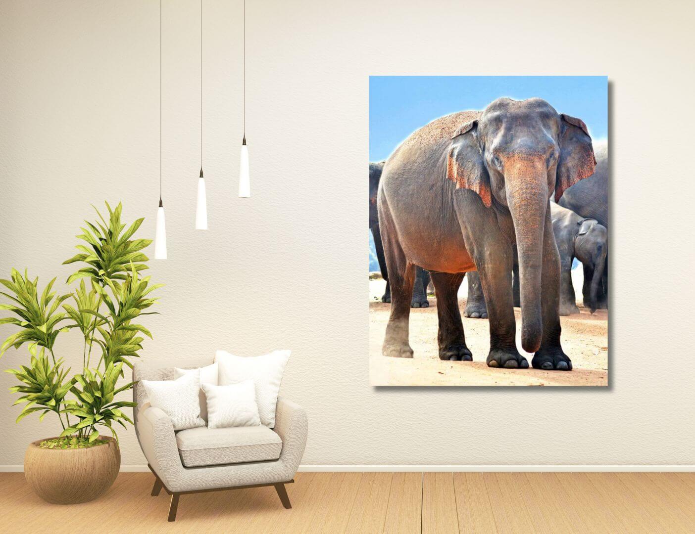 03.05.017 ceylon olifant tussen kudde woonkamer sfeer staand