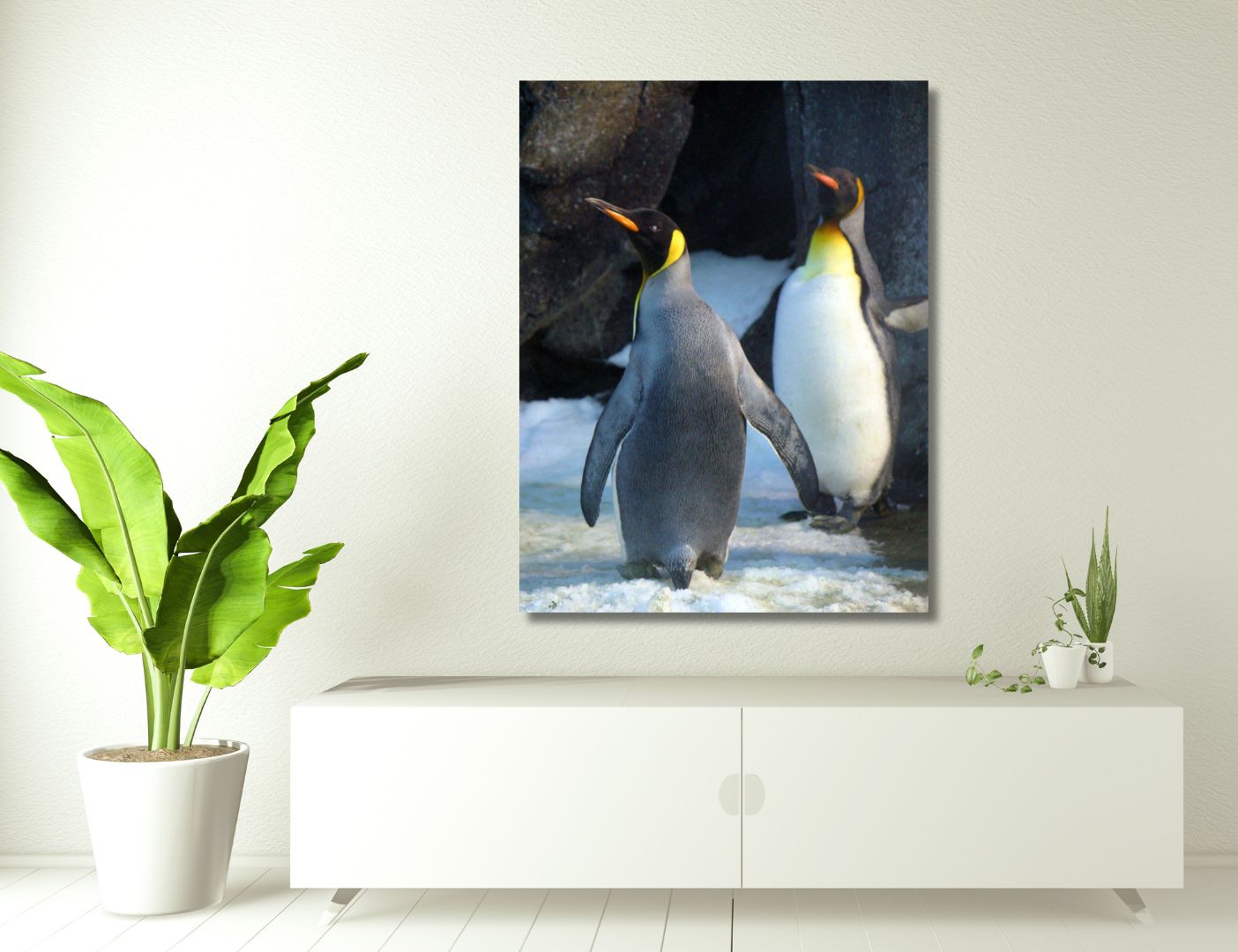 03.05.018 twee koningspinguïn woonkamer sfeer staand