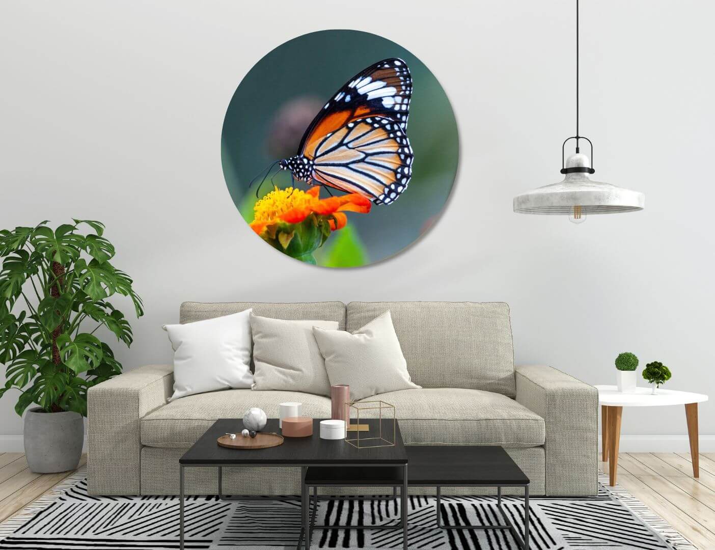 03.06.001-monarchvlinder-woonkamer-sfeer-cirkel