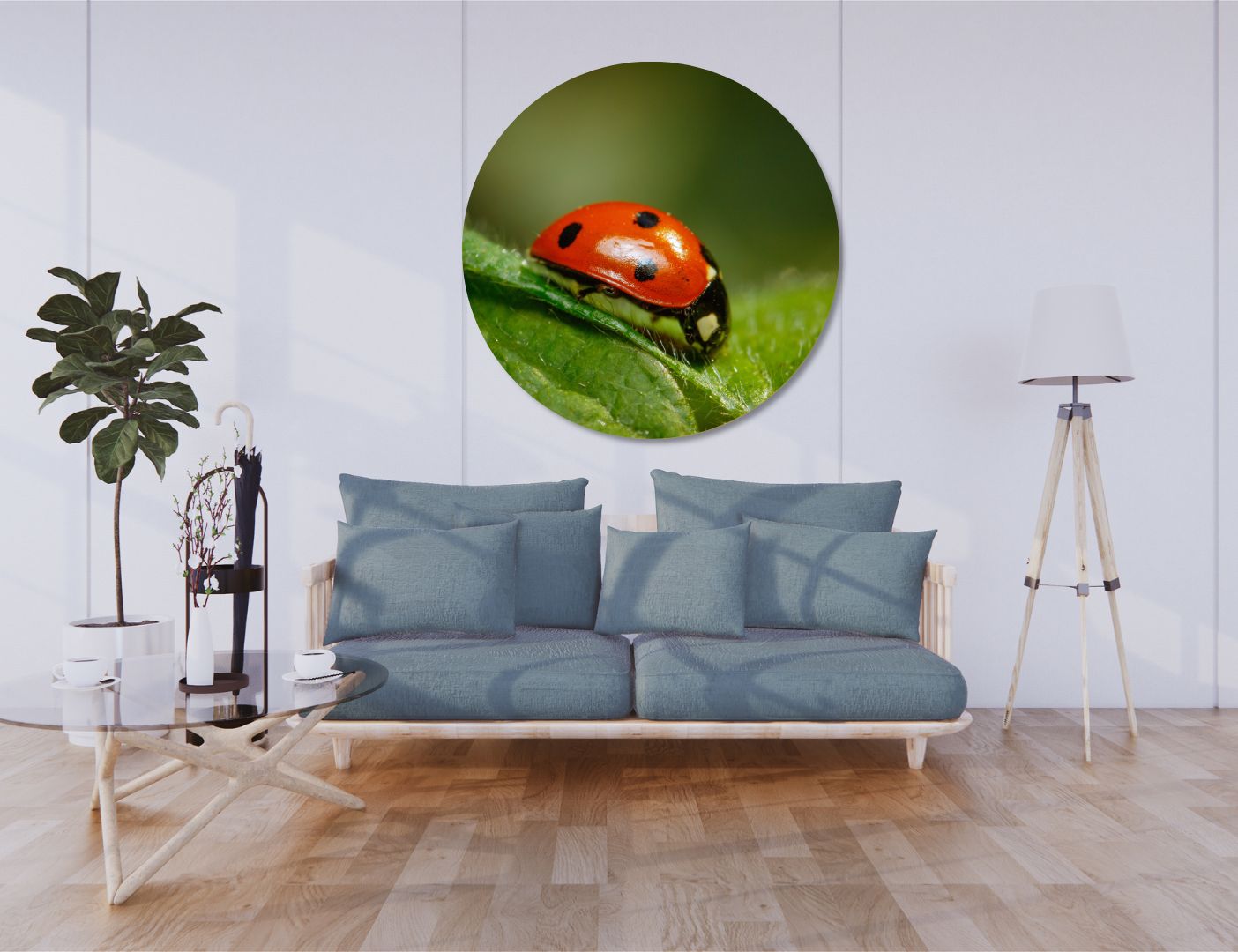 03.06.005-lieveheersbeestje-close-up-woonkamer-sfeer-cirke