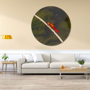 03.06.007-rode-libelle-woonkamer-sfeer-cirkel