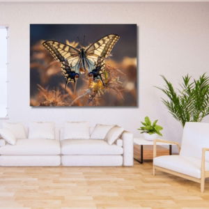03.06.010-papiloi-machaon-vlinder-woonkamer-sfeer-liggend