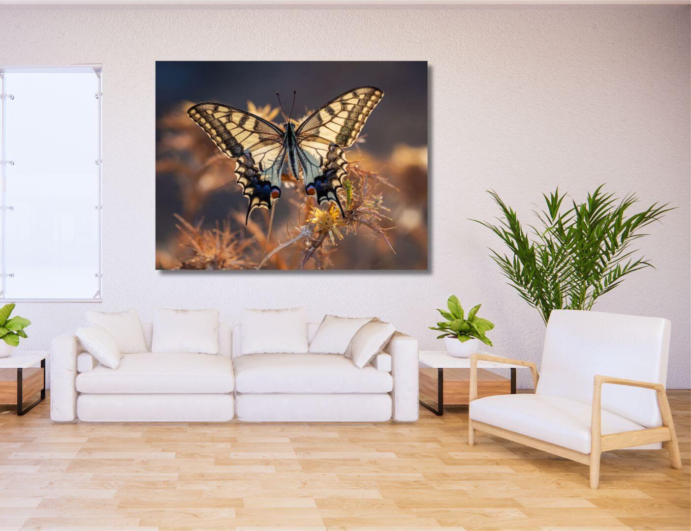 03.06.010-papiloi-machaon-vlinder-woonkamer-sfeer-liggend