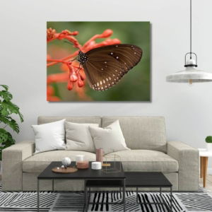03.07.002-bruine-vlinder-op-rode-bloemen-woonkamer-sfeer-liggend