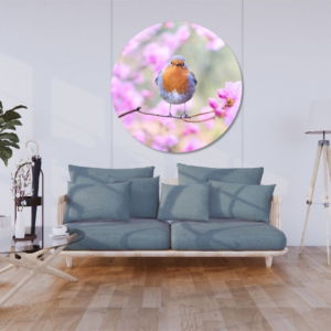 03.07.006-roodborstje-op-tak-met-roze-bloemen-woonkamer-sfeer-cirkel