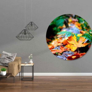 03.07.013 herfst bladeren woonkamer sfeer cirkel