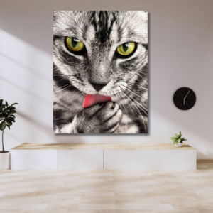 03.07.015 cyperse kat woonkamer sfeer staand