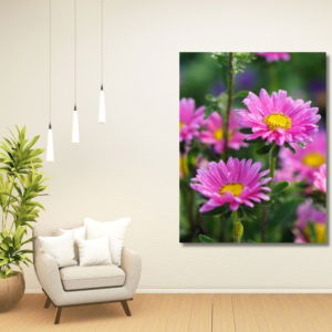 03.07.017 aster alpinus woonkamer sfeer staand