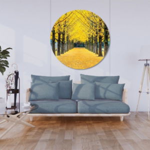 04.01.005 ginkgoboom in nami island korea woonkamer sfeer cirkel