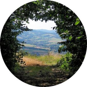 04.01.022 bladeren boog met uitzicht cirkel