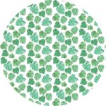 05.01.5542 monstera leaf cirkel