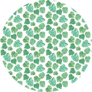 05.01.5542 monstera leaf cirkel