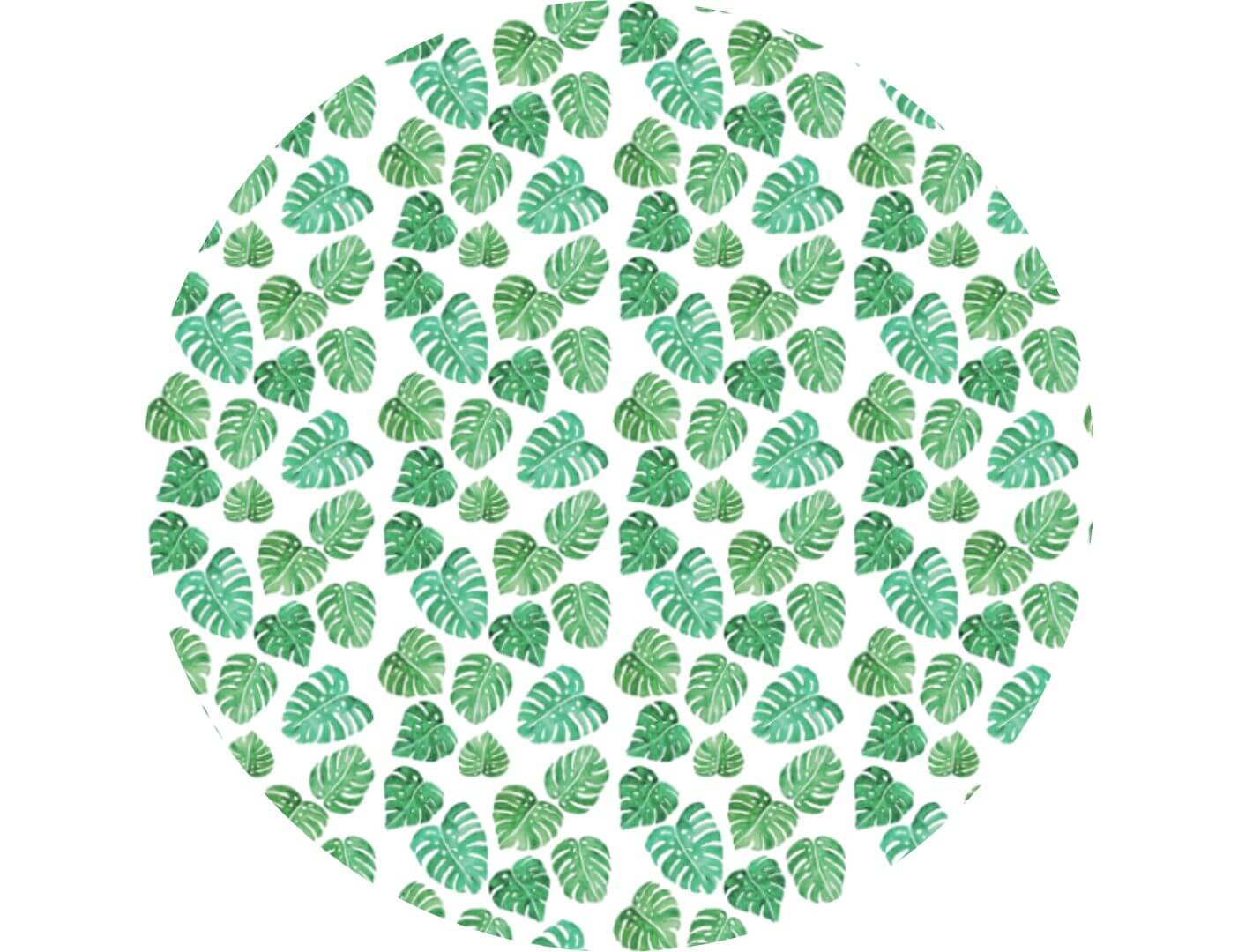05.01.5542 monstera leaf cirkel