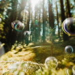 07.01.004 vliegende luchtbellen in de natuur liggend