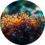 07.01.011 onderwater groeiend koraal cirkel