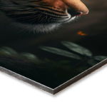 foto op dibond category 0